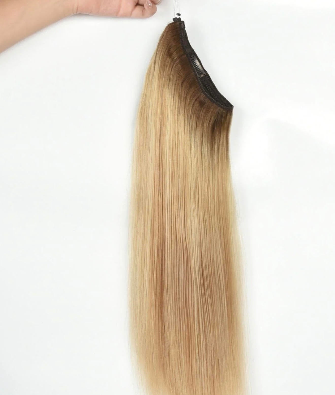 The Signature Halo